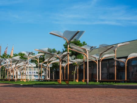 Structural Botany